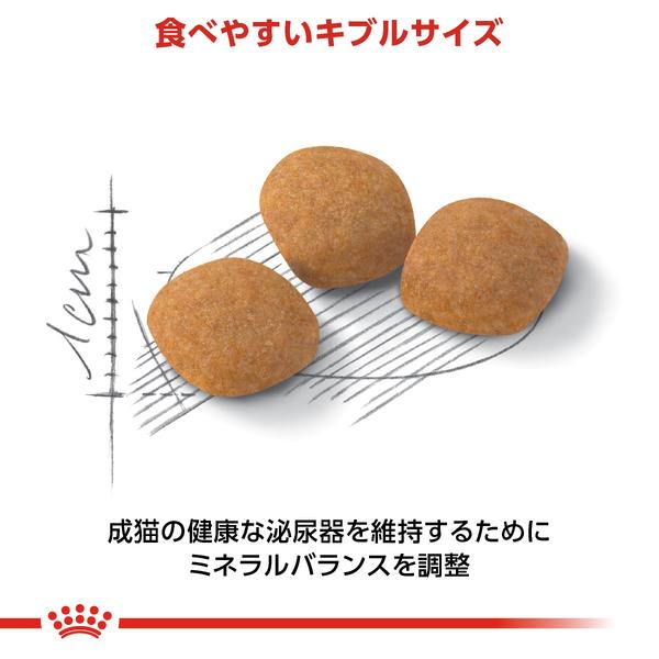 ロイヤルカナン（ROYAL CANIN） 猫 プロテイン エクシジェント 2kg 6個