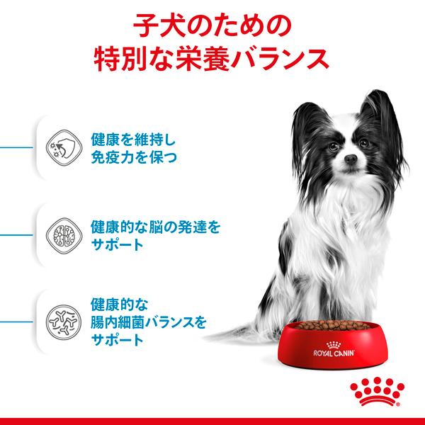 ロイヤルカナン（ROYAL CANIN） 犬 エクストラスモール ジュニア 800g