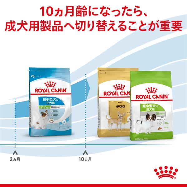 ロイヤルカナン（ROYAL CANIN） 犬 エクストラスモール パピー 1.5kg