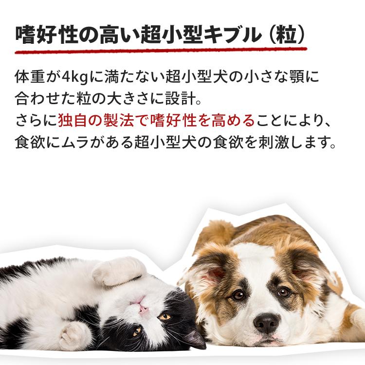 ロイヤルカナン（ROYAL CANIN） 犬 エクストラスモール アダルト 1.5kg