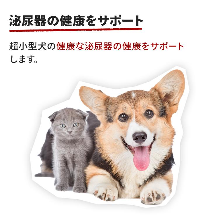 ロイヤルカナン（ROYAL CANIN） 犬 エクストラスモール アダルト 3kg