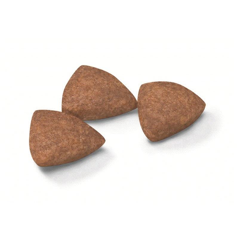 ロイヤルカナン（ROYAL CANIN） 犬 ミニ インドア アダルト 800g 室内