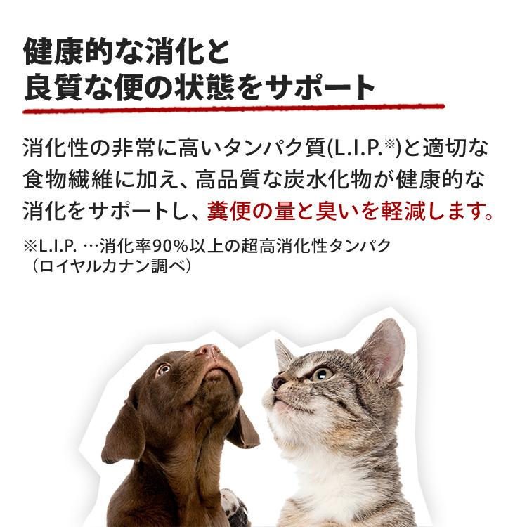 ロイヤルカナン（ROYAL CANIN） 犬 ミニ インドア アダルト 2kg 室内