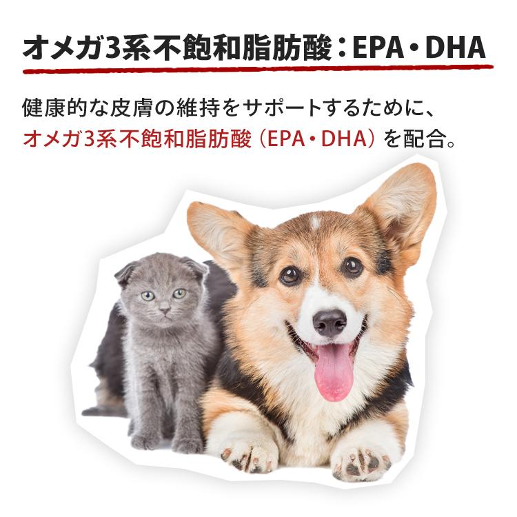  CANIN 大型犬の子犬用 ドライフード4キロ ロイヤルカナン（ROYAL CANIN） 犬 マキシ アダルト 4Kg 成犬・高齢犬