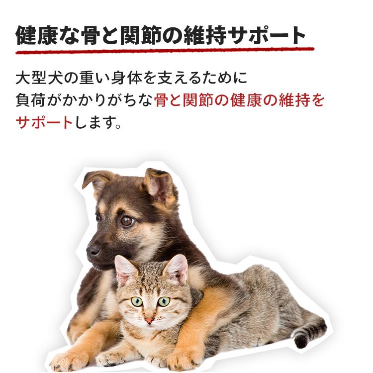 ロイヤルカナン（ROYAL CANIN） 犬 マキシ アダルト 4Kg 成犬・高齢犬