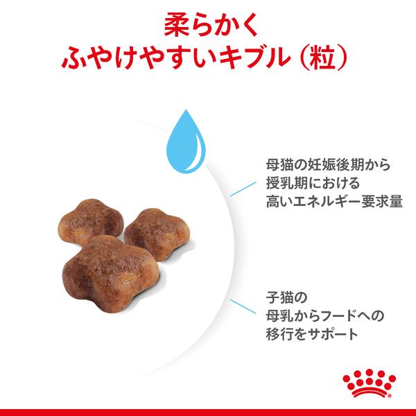 ロイヤルカナン（ROYAL CANIN） マザー＆ベビーキャット2kg 生後1から4