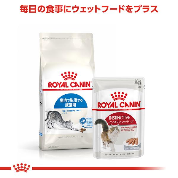 ロイヤルカナン 猫 キャットフード インドア 4kg キャット 室内猫 成猫用 キャットフード 猫用 フード 猫｜wannyan｜06