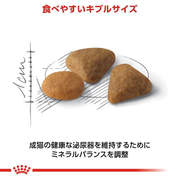 ロイヤルカナン（ROYAL CANIN） 猫 セイバー エクシジェント 400g