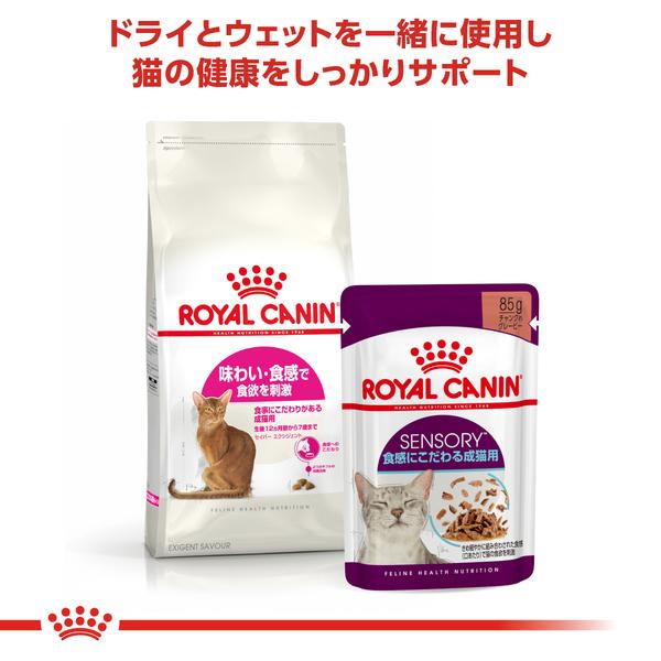 ロイヤルカナン 猫用 セイバー エクシジェント 400g