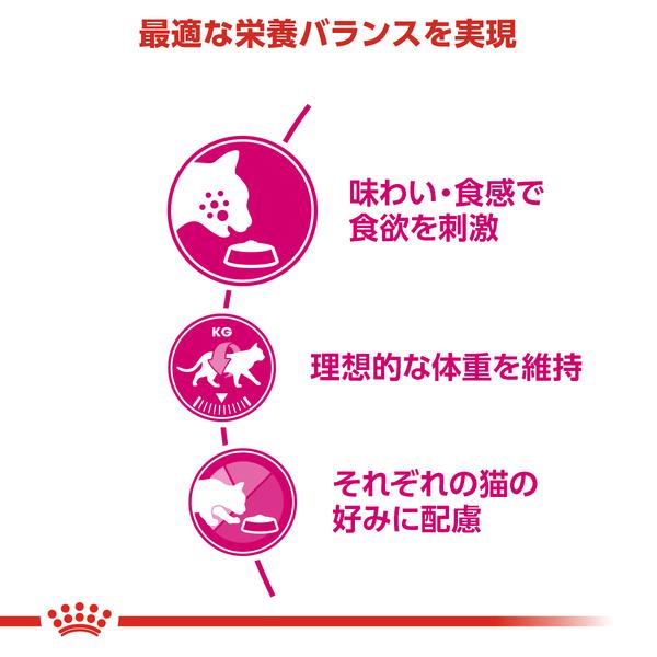 ロイヤルカナン 猫用 セイバー エクシジェント 2kg 食事に
