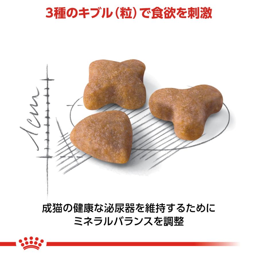 ロイヤルカナン 猫 センシブル 4kg 猫用 成猫用 アダルト 食が ロイヤルカナン 猫 センシブル 4kg 猫用 成猫用 アダルト 食が
