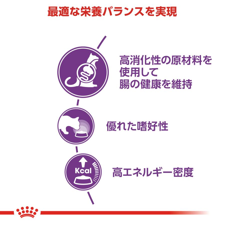 ロイヤルカナン 猫 センシブル 偏食・胃腸 15kg 猫用 フード 猫 キャットフード 猫用フード 猫フード_2