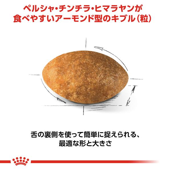 ロイヤルカナン（ROYAL CANIN） フィーライン ブリード