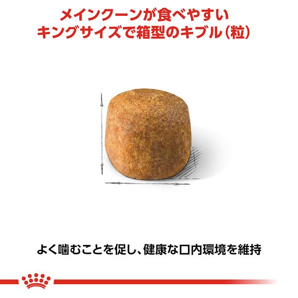 ロイヤルカナン（ROYAL CANIN） 猫用 キャット メインクーン 2kg 成猫