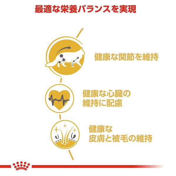 ロイヤルカナン（ROYAL CANIN） 猫用 キャット メインクーン 2kg 成猫
