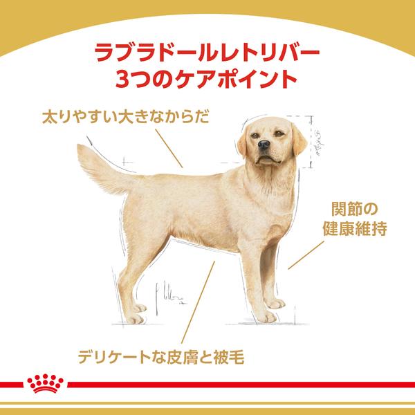 ロイヤルカナン 犬 ラブラドールレトリバー 成犬・高齢犬 12kg ドッグフード フード 犬用 犬｜wannyan｜02
