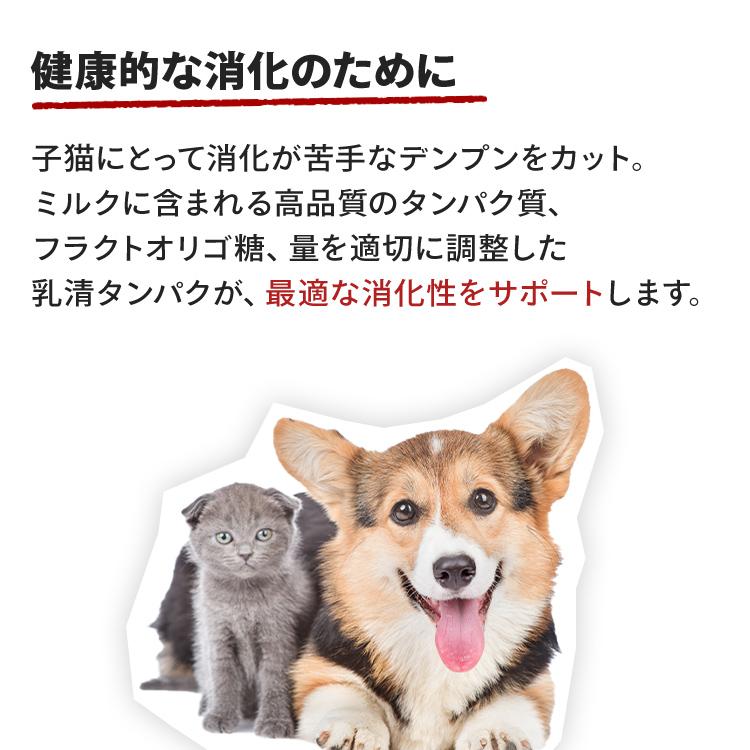 ロイヤルカナン 猫用 ベビーキャットミルク 300g D キャットフード 猫 