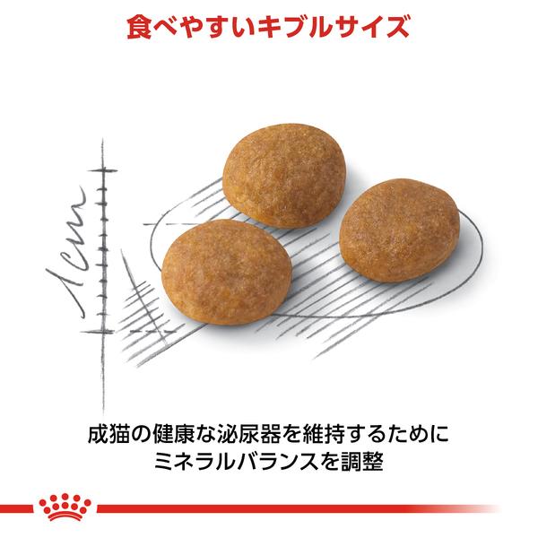 ロイヤルカナン（ROYAL CANIN） 猫 アロマ エクシジェント 400g