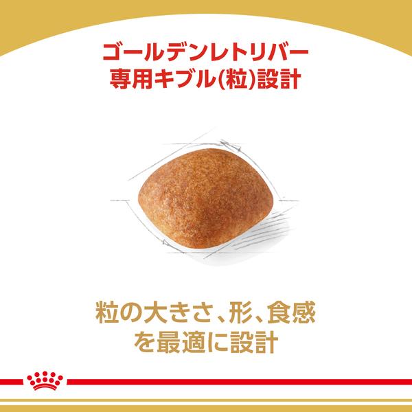 ロイヤルカナン ドッグフード　ゴールデンレトリーバー　成犬から高齢犬用 12kg Amazon.co.jp: ロイヤルカナン ゴールデンレトリバー 成犬・高