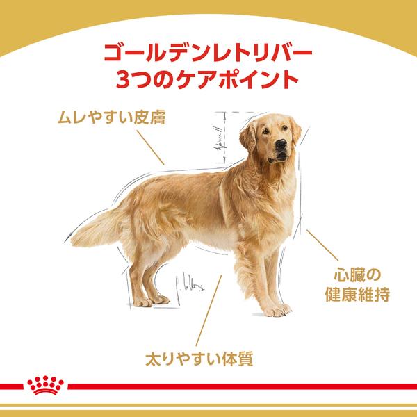 ロイヤルカナン 犬 ゴールデンレトリバー 成犬・高齢犬 12kg ロイヤルカナン 犬 ゴールデンレトリバー 成犬・高齢犬 12kg