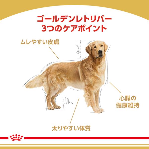 ロイヤルカナン 犬 ゴールデンレトリバー 成犬・高齢犬 12kg ドッグフード フード 犬用 犬｜wannyan｜02