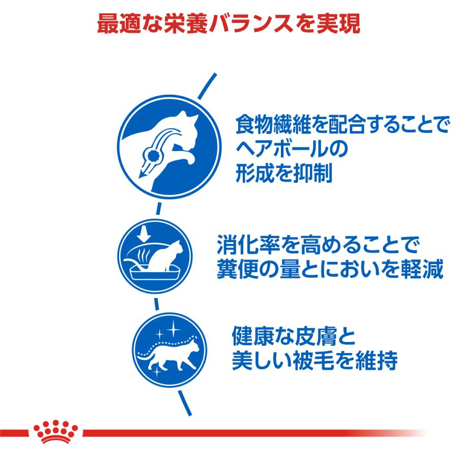 ロイヤルカナン（ROYAL CANIN） 猫 4kg 室内 インドア ロングヘアー