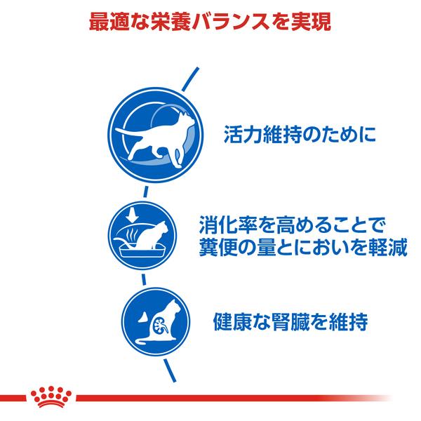 ロイヤルカナン（ROYAL CANIN） 猫 インドア +7 400g キャットフード