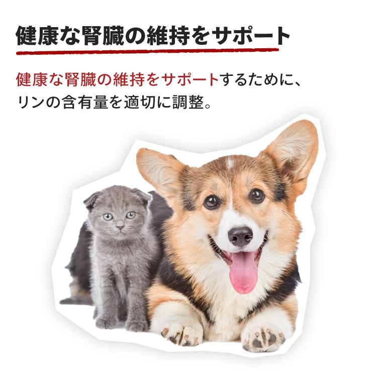 ロイヤルカナン 猫用エイジング 12+ 400g 歯のトラブル 12歳以上 ロイヤルカナン 猫用エイジング 12+ 400g 歯のトラブル 12歳以上