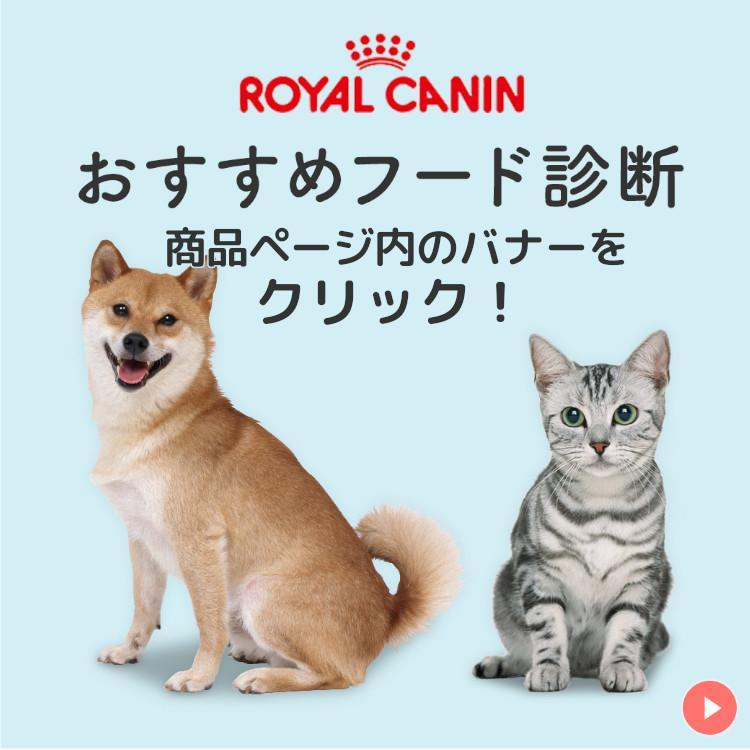 ロイヤルカナン（ROYAL CANIN） 猫用エイジング 11+ 2kg 11歳以上の