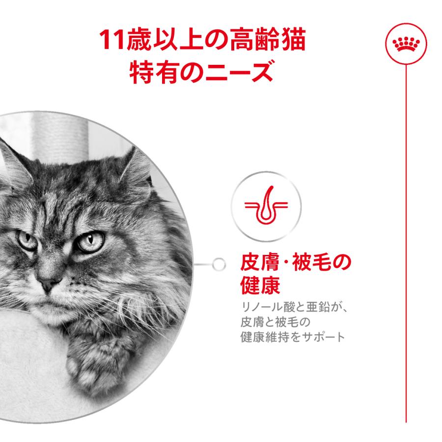 ロイヤルカナン（ROYAL CANIN） 猫用エイジング 11+ 2kg 11歳以上の
