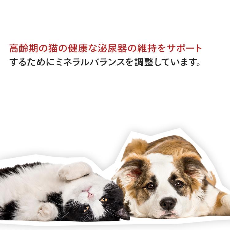 ロイヤルカナン 猫用エイジング 12+ 4kg 歯のトラブル 12歳以上の高齢猫用 老猫用 シニア キャットフード 猫用 フード 猫｜wannyan｜11