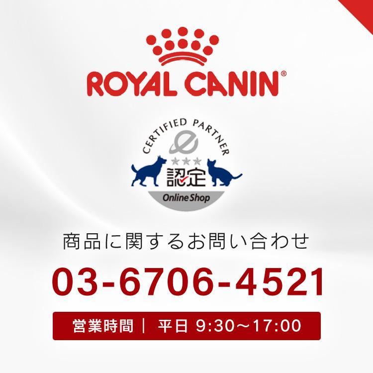 ロイヤルカナン（ROYAL CANIN） 猫用エイジング 11+ 4kg 11歳以上の
