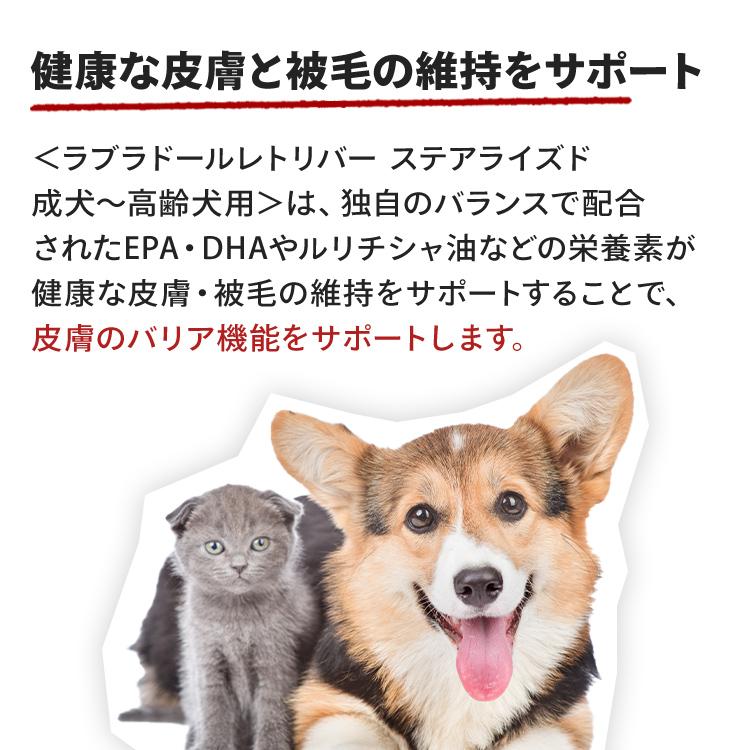ロイヤルカナン（ROYAL CANIN） 犬 ラブラドールレトリバー