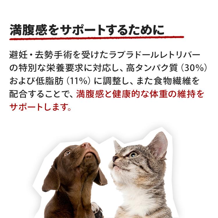 ロイヤルカナン（ROYAL CANIN） 犬 ラブラドールレトリバー