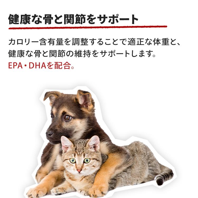 ロイヤルカナン 犬 ラブラドールレトリバー ステアライズド 12kg ロイヤルカナン 犬 ラブラドールレトリバー ステアライズド 12kg