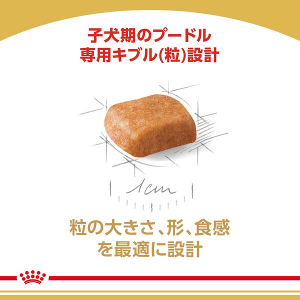 ロイヤルカナン 犬 プードル 子犬 800g ドッグフード フード 犬