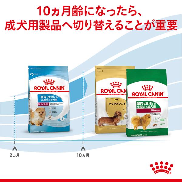 ロイヤルカナン（ROYAL CANIN） ミニ インドア パピー 4kg×2 ジッパー