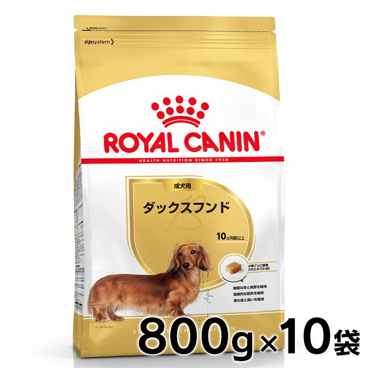 ロイヤルカナン 犬 ダックスフンド 成犬・高齢犬 800g 10個セット ドッグフード　フード 犬用 犬