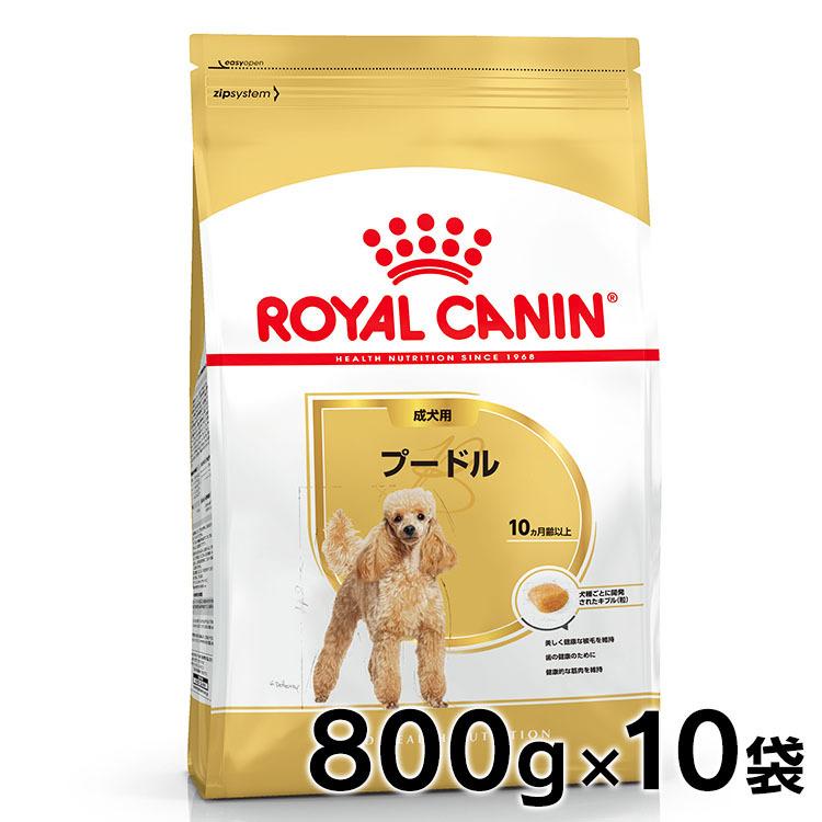 ロイヤルカナン 犬 プードル 成犬・高齢犬 800g 10個セット ドッグフード　フード 犬用 犬 正規品 ドライフード