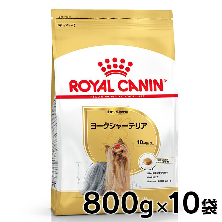 ロイヤルカナン 犬 ヨークシャーテリア 成犬・高齢犬 800g 10個セット ドッグフード　フード 犬用 犬