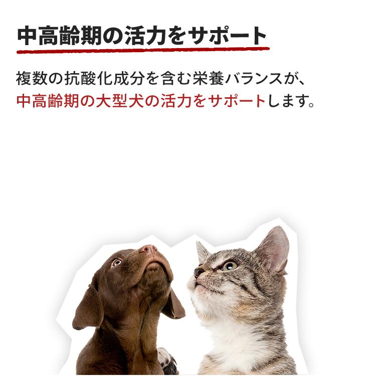 ロイヤルカナン（ROYAL CANIN） 犬 マキシ アダルト 5＋ 15kg 大型犬 5