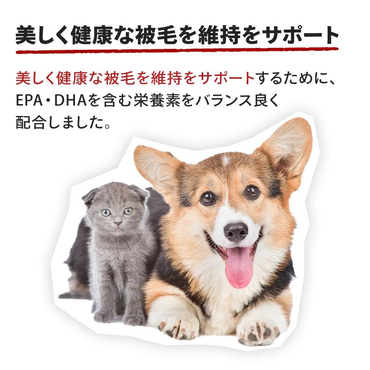 ロイヤルカナン（ROYAL CANIN） 犬 ミディアム アダルト 7＋ 4Kg 高齢
