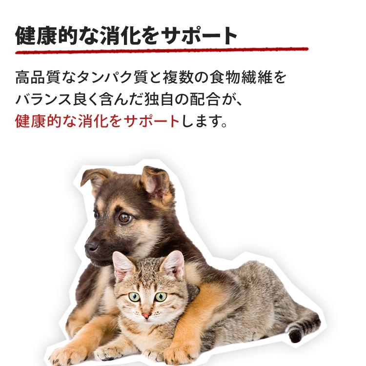 ロイヤルカナンドライフード高齢犬用 ミニ エイジング 12+（小型犬専用フード 高齢犬用） – 【ロイヤル