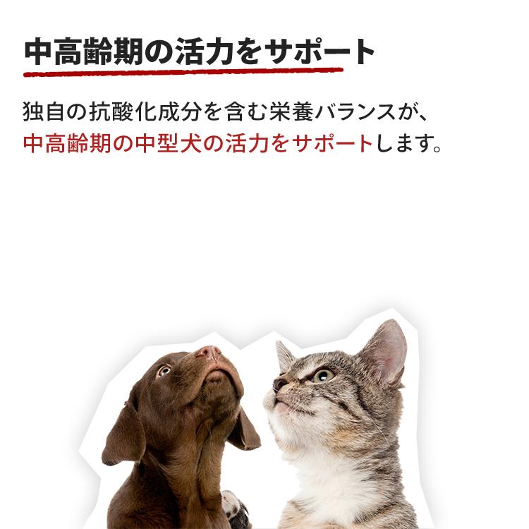  CANIN 中型犬用 7歳未満 ドライフード 10kg 未開封 楽天市場】【最大ポイント5倍！※要ｴﾝﾄﾘｰ＆最大1万円ｵﾌｸｰﾎﾟﾝ※要