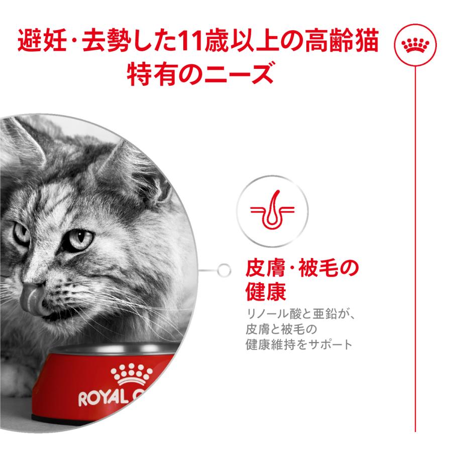ロイヤルカナン（ROYAL CANIN） 猫用 FHN エイジング ステアライズド