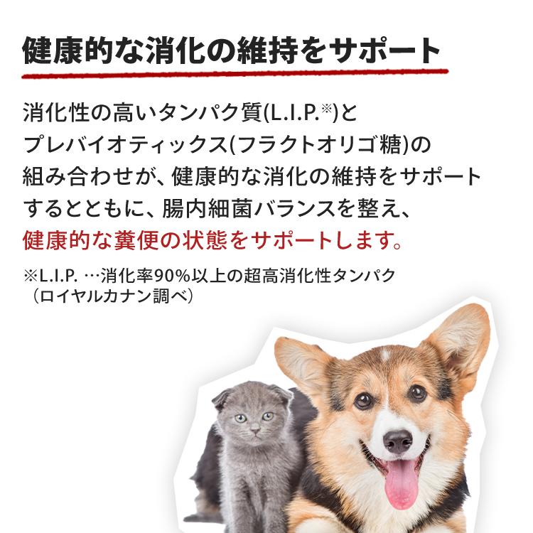 ロイヤルカナン（ROYAL CANIN） 犬 柴犬 子犬用 3kgドッグフード