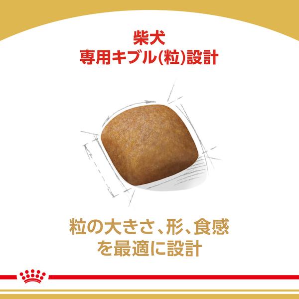  CANIN 柴犬用 ドッグフード 3kg×2袋セット CANIN 柴犬用 ドッグフード 3kg×2袋セット ロイヤルカナン ＼5