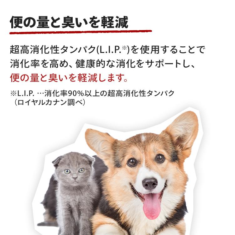 ロイヤル カナン チワワ 量 BHN チワワセイケン 1 5kg 6 ロイヤル