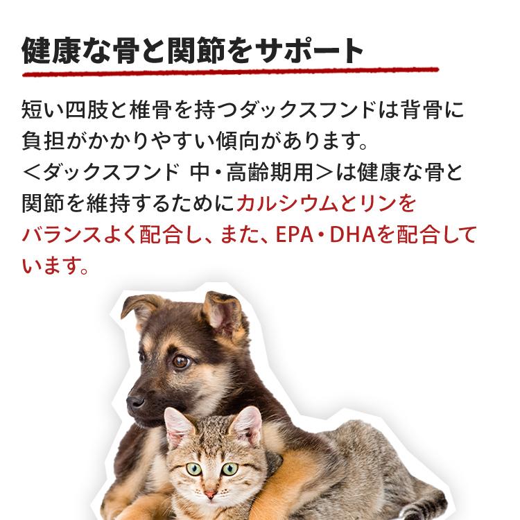ロイヤルカナン（ROYAL CANIN） 犬 ダックスフンド 中・高齢犬用 800g