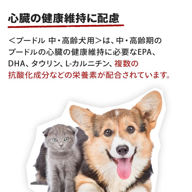 ロイヤルカナン（ROYAL CANIN） 犬 プードル 中・高齢犬用 8+ 800g